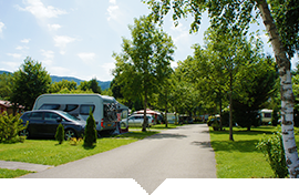 camping alsace